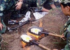 1339