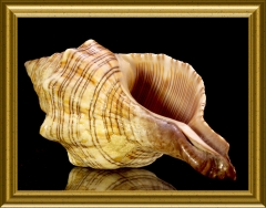2173