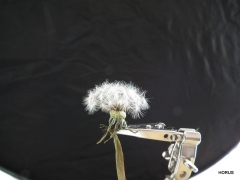 2580