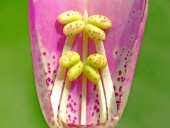 5051