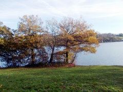 8563