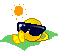 :sd: